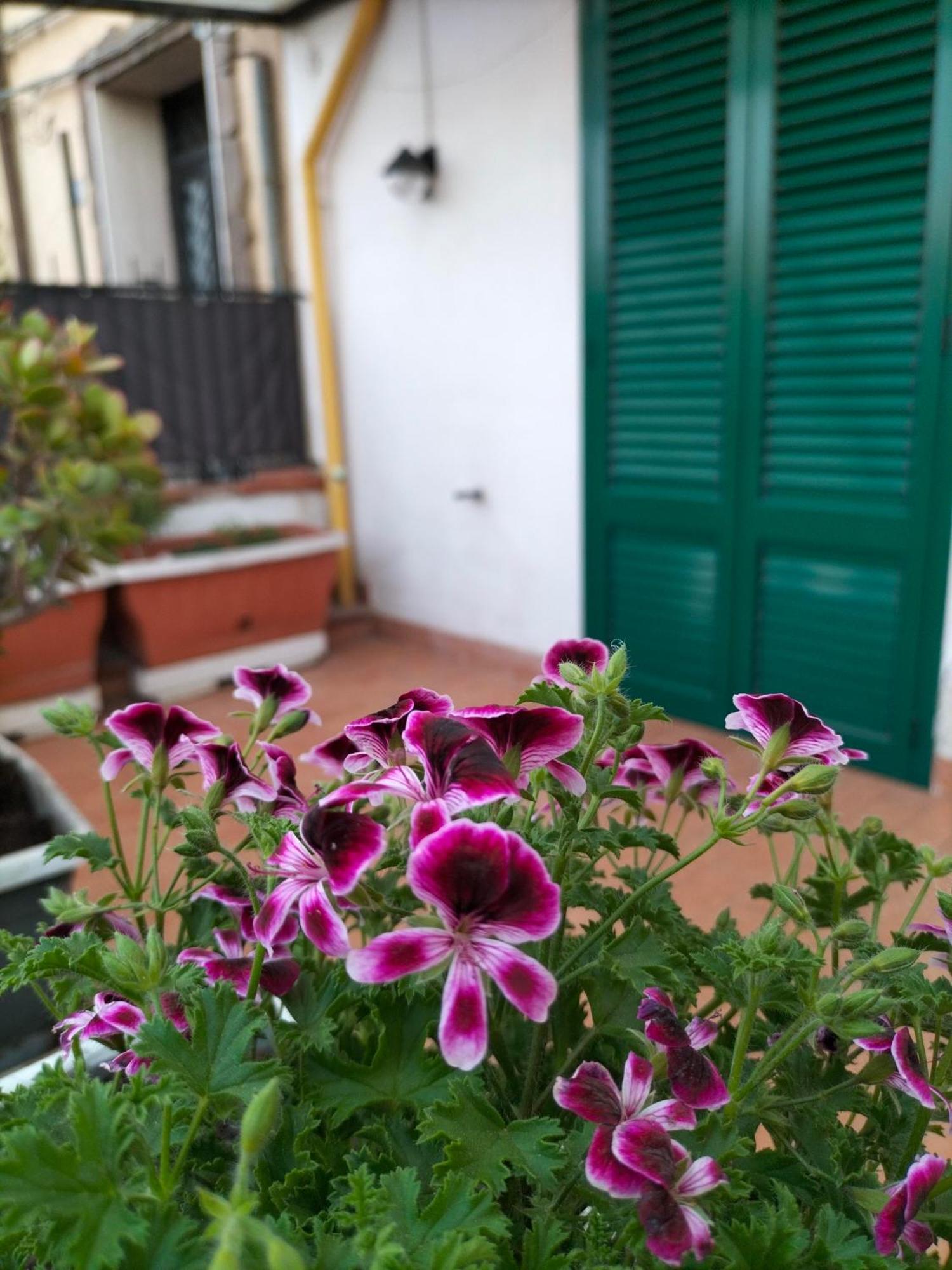 Ciuridda Mia Palermo Exterior foto